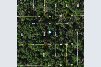 7334 W Contentment Lane, Dunnellon, FL 34433 - Photo 1