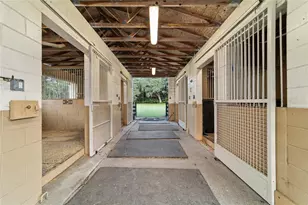 8801 SE 7th Avenue Rd, Ocala, FL 34480 - Photo 7