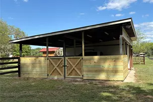 1480 NE 97 St, Anthony, FL 32617 - Photo 3