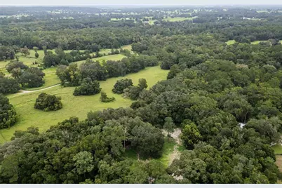 7901 NW 125th Street, Reddick, FL 32686 - Photo 53