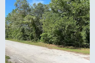 Tbd SE 140 Avenue, Morriston, FL 32668 - Photo 1