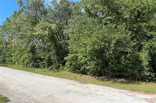 Tbd SE 140 Ave, Morriston, FL 32668 - Photo 1