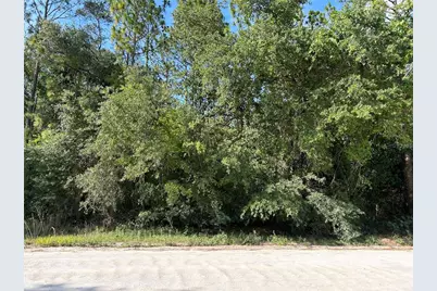 Tbd SE 140 Avenue, Morriston, FL 32668 - Photo 3
