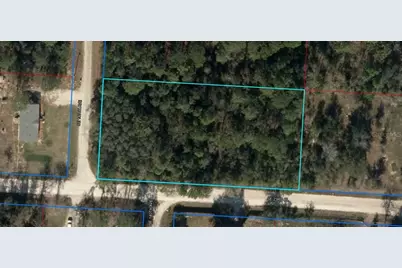 Tbd SE 140 Avenue, Morriston, FL 32668 - Photo 5