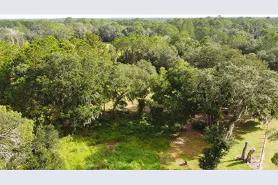 11701 SE Highway 464, Ocklawaha, FL 32179 - Photo 13