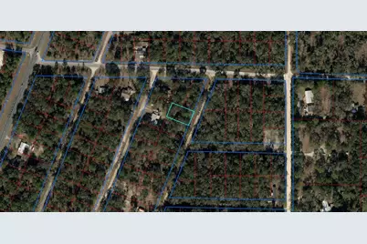 Tbd NE 155 Court, Williston, FL 32696 - Photo 1