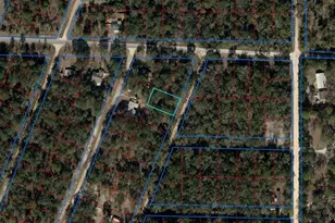 Tbd NE 155 Ct, Williston, FL 32696 - Photo 1
