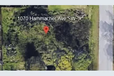 1070 Hammacher Avenue SW, Palm Bay, FL 32908 - Photo 1
