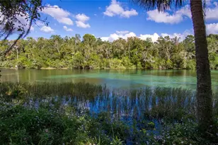 8130 SW 215th Terrace, Dunnellon, FL 34431 - Photo 57