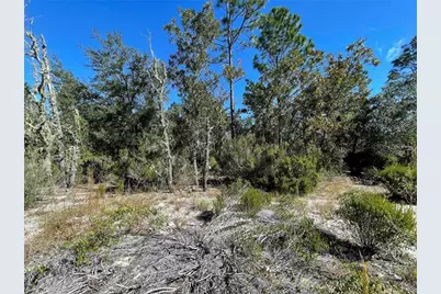 Tbd NE Highway 27 Alt, Bronson, FL 32621 - Photo 5