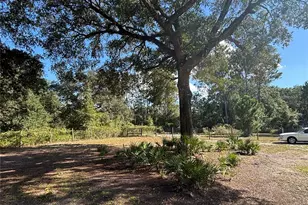 8260 SE 175th Ct, Ocklawaha, FL 32179 - Photo 83