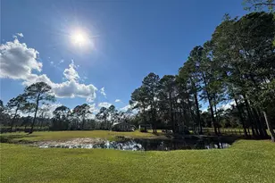 8260 SE 175th Ct, Ocklawaha, FL 32179 - Photo 73