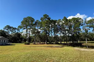 8260 SE 175th Ct, Ocklawaha, FL 32179 - Photo 77