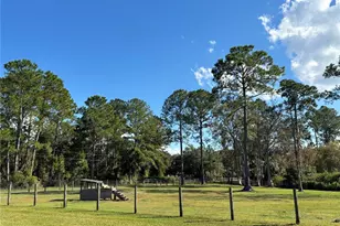 8260 SE 175th Ct, Ocklawaha, FL 32179 - Photo 85