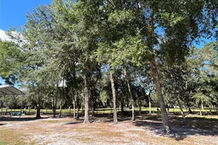 8260 SE 175th Ct, Ocklawaha, FL 32179 - Photo 81