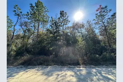 Tbd NE 15th Street, Williston, FL 32696 - Photo 3