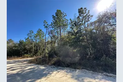 Tbd NE 15th Street, Williston, FL 32696 - Photo 5