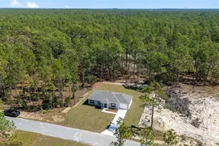 76 NW Alvarez Rd, Dunnellon, FL 34431 - Photo 39