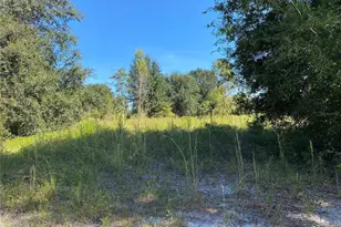 Xxxx NE 3rd Ct, Citra, FL 32113 - Photo 1