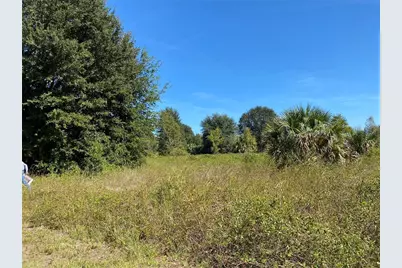 Xxxx NE 3rd Ct, Citra, FL 32113 - Photo 3