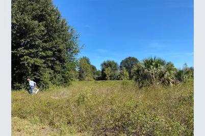 Xxxx NE 3rd Ct, Citra, FL 32113 - Photo 5