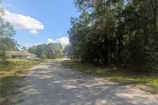 10484 N Holcomb Dr, Citrus Springs, FL 34434 - Photo 1