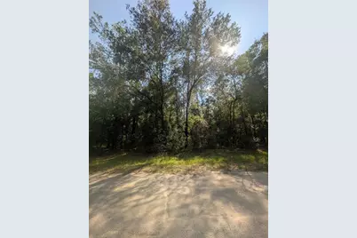 10484 N Holcomb Drive, Citrus Springs, FL 34434 - Photo 3