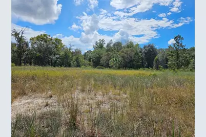 4929 SW Portulaca Court, Dunnellon, FL 34431 - Photo 5