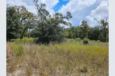 4929 SW Portulaca Court, Dunnellon, FL 34431 - Photo 11