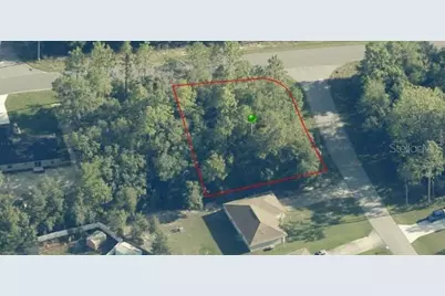 11073 N Haitian Drive, Citrus Springs, FL 34434 - Photo 5