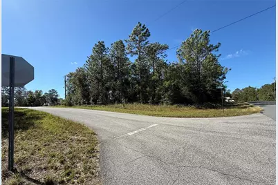 11073 N Haitian Drive, Citrus Springs, FL 34434 - Photo 7