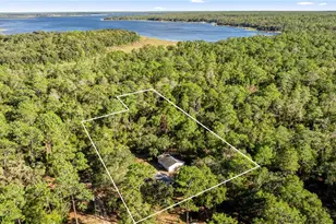 20470 NE 142nd Ln, Fort Mc Coy, FL 32134 - Photo 21