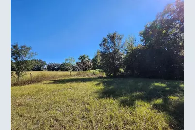 Tbd SW 175 Court, Dunnellon, FL 34432 - Photo 33