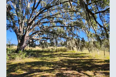 Tbd SW 175 Court, Dunnellon, FL 34432 - Photo 23