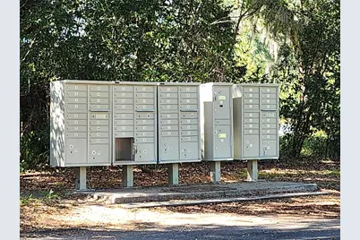 Tbd SW 175 Court, Dunnellon, FL 34432 - Photo 7