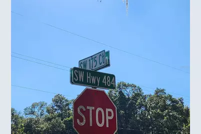 Tbd SW 175 Court, Dunnellon, FL 34432 - Photo 3