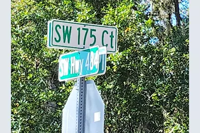 Tbd SW 175 Court, Dunnellon, FL 34432 - Photo 5