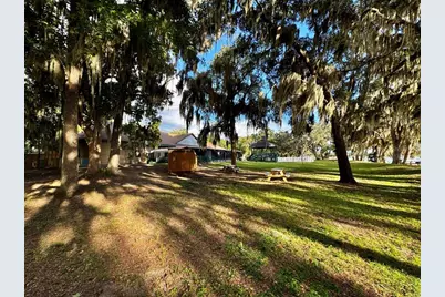 14423 NE 252nd Court Road, Salt Springs, FL 32134 - Photo 37