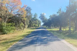 11234 N Farmwood Ave, Dunnellon, FL 34433 - Photo 23