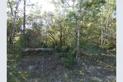 7809 N Jamaica Drive, Citrus Springs, FL 34433 - Photo 3