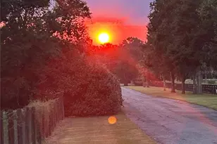 7505 NW 137th Ave, Morriston, FL 32668 - Photo 5