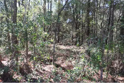 00 SW 39 Street, Dunnellon, FL 34432 - Photo 3