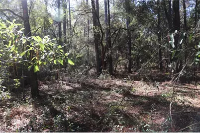 00 SW 39 Street, Dunnellon, FL 34432 - Photo 1