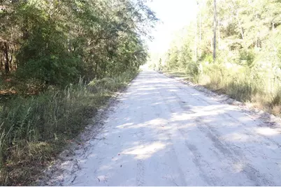 00 SW 39 Street, Dunnellon, FL 34432 - Photo 5