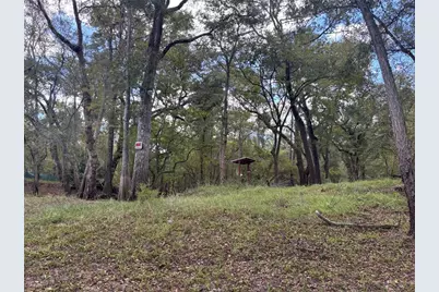 1347 NE 519th Avenue, Old Town, FL 32680 - Photo 7