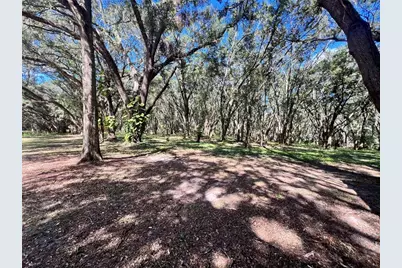 14609 SE 155th Street, Weirsdale, FL 32195 - Photo 25