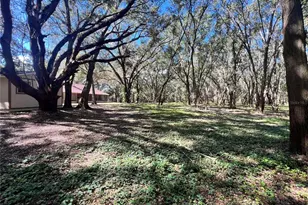 14609 SE 155th St, Weirsdale, FL 32195 - Photo 23