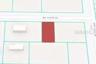 NE 223 Pl, Fort Mc Coy, FL 32134 - Photo 1