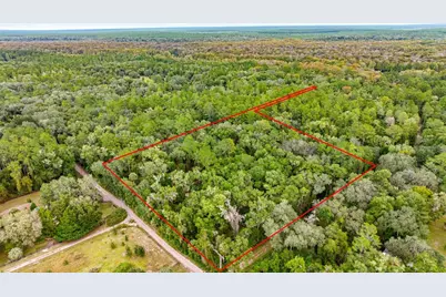 15888 NE 152nd Avenue, Fort Mc Coy, FL 32134 - Photo 9