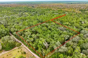 15888 NE 152 Ave, Fort Mc Coy, FL 32134 - Photo 9